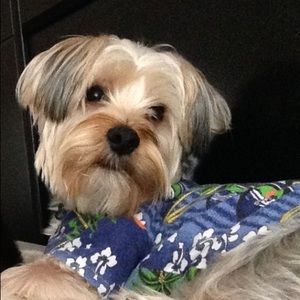 Meet your Posher, Laura